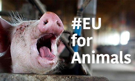 EU for animals