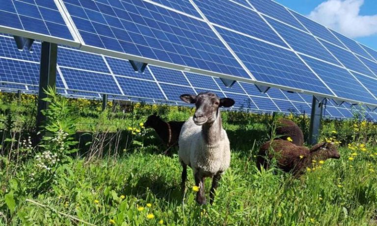 transizioni-ostacoli_Toscana-ambiente