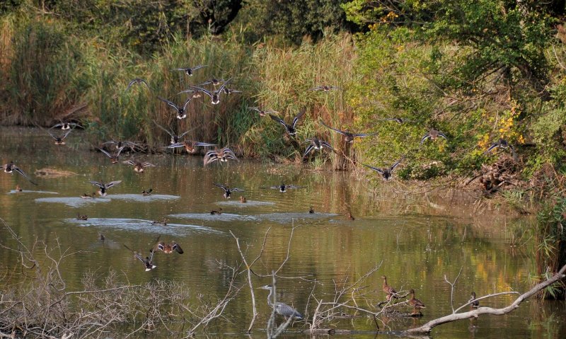 Parco-volontari-ambientale_Toscana-ambiente