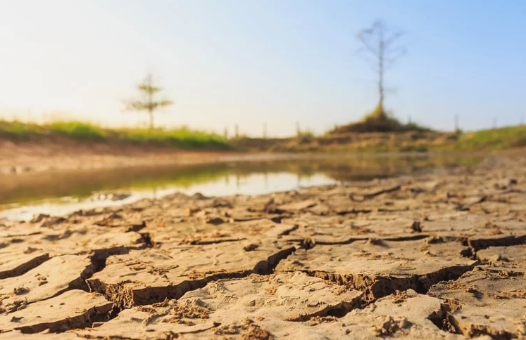 negazionismo-teorie-climatico_Toscana-ambiente