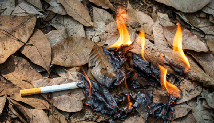 sigarette-incendi-toscana-ambiente