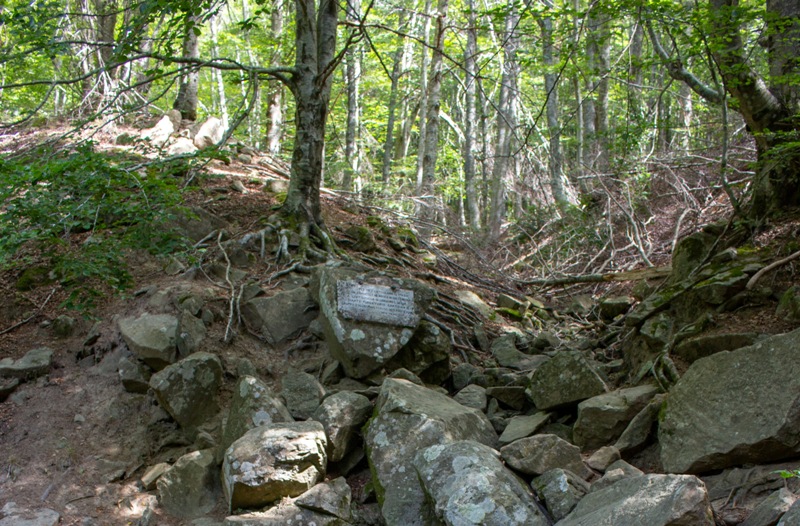 sorgente-Arno-ettari_Toscana-ambiente