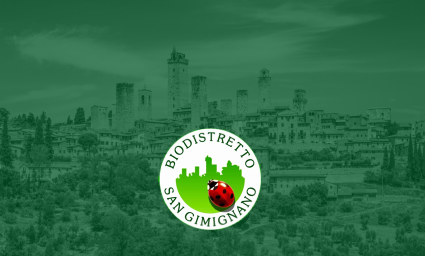 -Bio-distretto-San-Gimignano-biologico-Toscana-ambiente