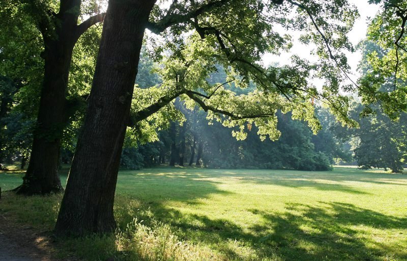 parco-aria-piante_Toscana-ambiente