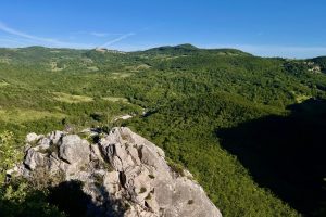 Bosco-rocconi-riserva_Toscana-ambiente