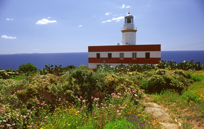 Giglio-Isola-L'Arcipelago_Toscana-ambiente