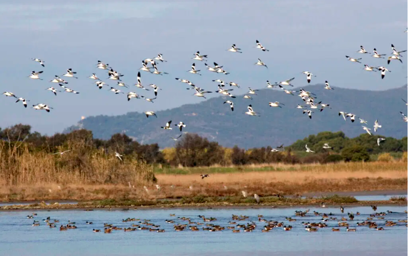 Oasi-WWf-legge_Toscana-ambiente