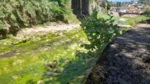 Pesa-torrente-secca_Toscana-ambiente