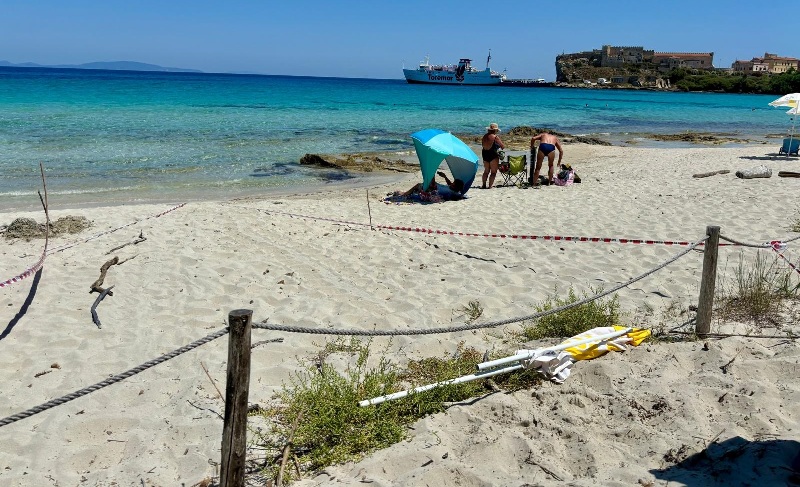 Pianosa-nidi-tartaruga_Toscana-ambiente