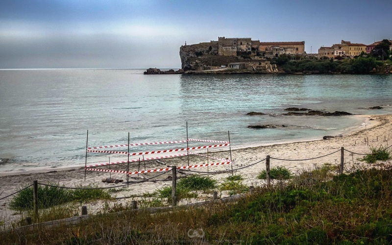 Pianosa-nido-Legambiente_Toscana-ambiente