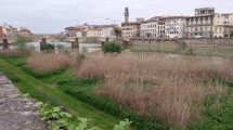 Terzo-giardino_uccelli_Toscana-ambiente