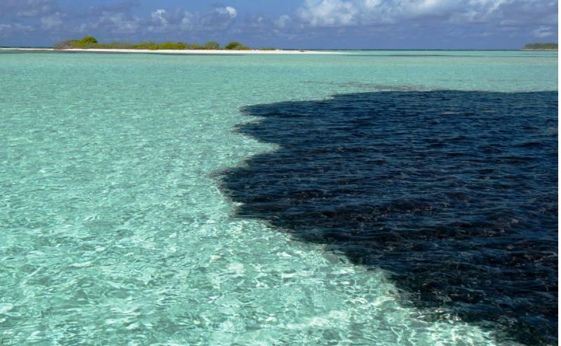 petrolio-mare-inquinamento_Toscana-ambiente