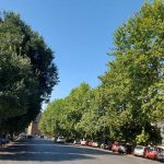 viali-Firenze-alberi_Toscana-ambiente