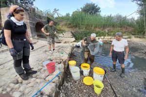 Montelupo-Pesa-secca_Toscana-ambiente