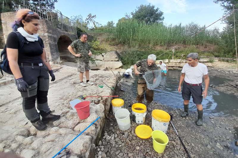 Montelupo-Pesa-secca_Toscana-ambiente