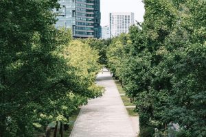 foresta-urbana-climatizzare_Toscana-ambiente