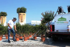 vivai-diserbo-ecologico_Toscana-ambiente