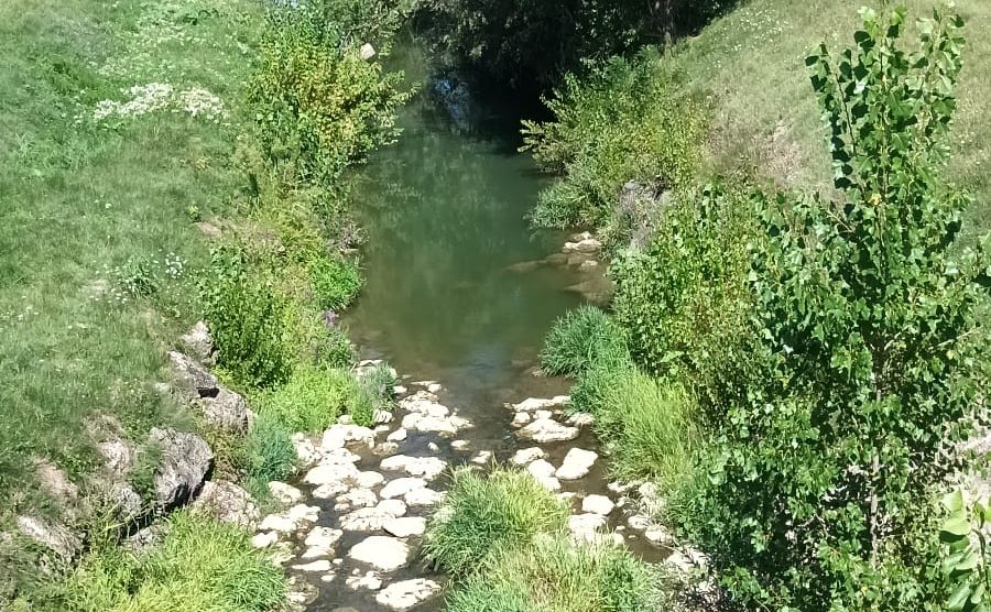 Residuo di vegetazione riparia lungo il torrente Staggia