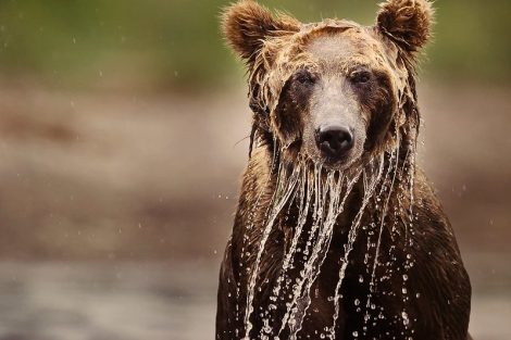 3-Valter-Bernardeschi-fotografia-natura-Toscana-Ambiente