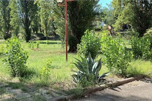 Area verde a Salceto (foto da Comitato Ambiente Siena)