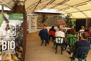 Torrita-Bio-agricoltura-biologico-Toscana-Ambiente