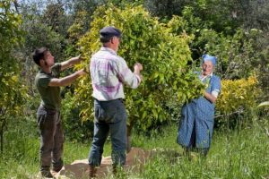 agricoltori-agricoltura-familiare_Toscana-ambiente