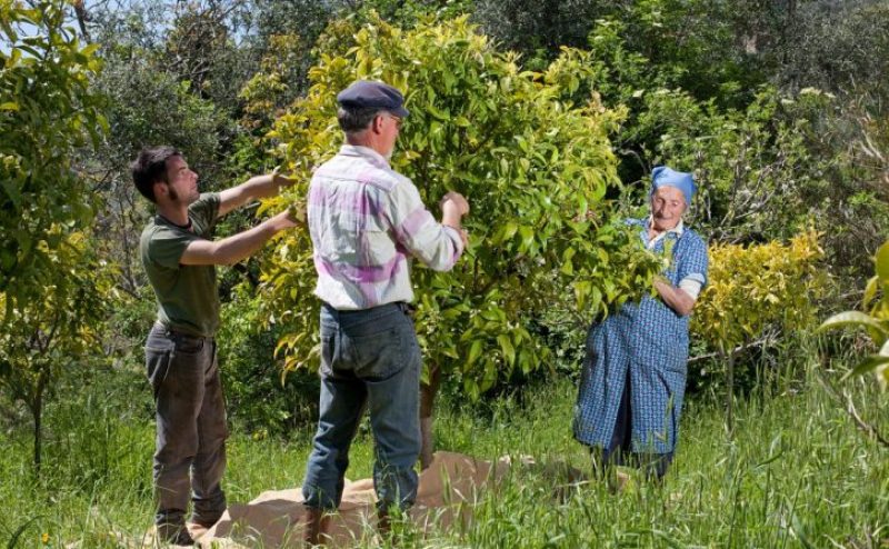 agricoltori-agricoltura-familiare_Toscana-ambiente