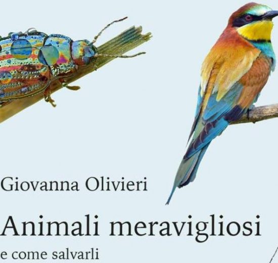 Animali- meravigliosi-libro_Toscana-ambiente