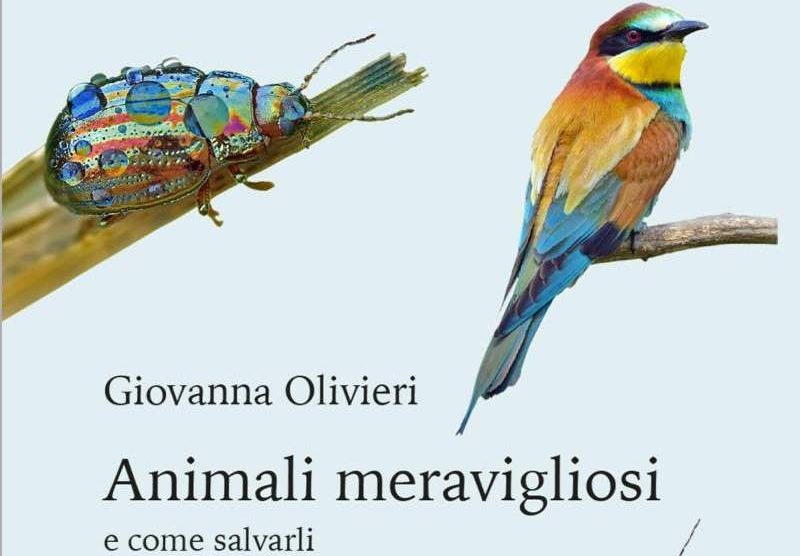 Animali- meravigliosi-libro_Toscana-ambiente