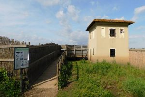 Centro-visite Padule-Wwf_Toscana-ambiente