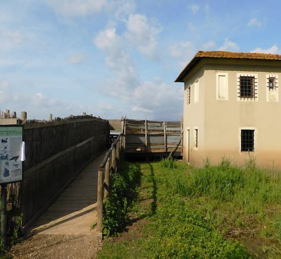 Centro-visite Padule-Wwf_Toscana-ambiente