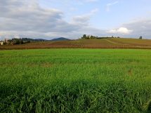 campagna-paesaggio-degrado_Toscana-ambiente