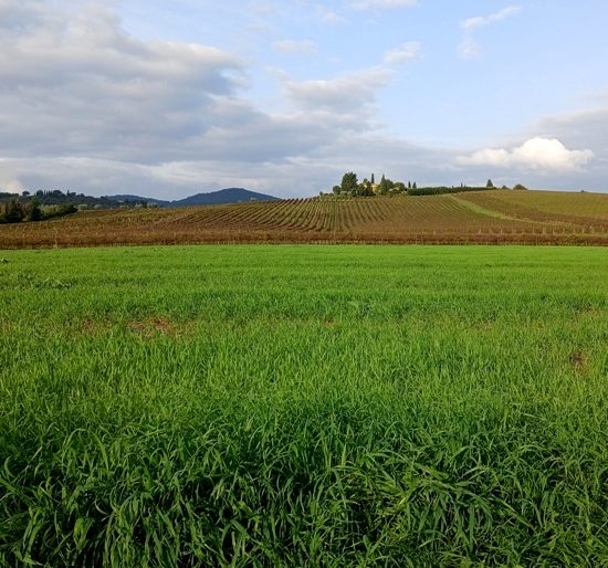 campagna-paesaggio-degrado_Toscana-ambiente