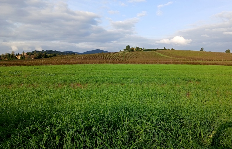 campagna-paesaggio-degrado_Toscana-ambiente