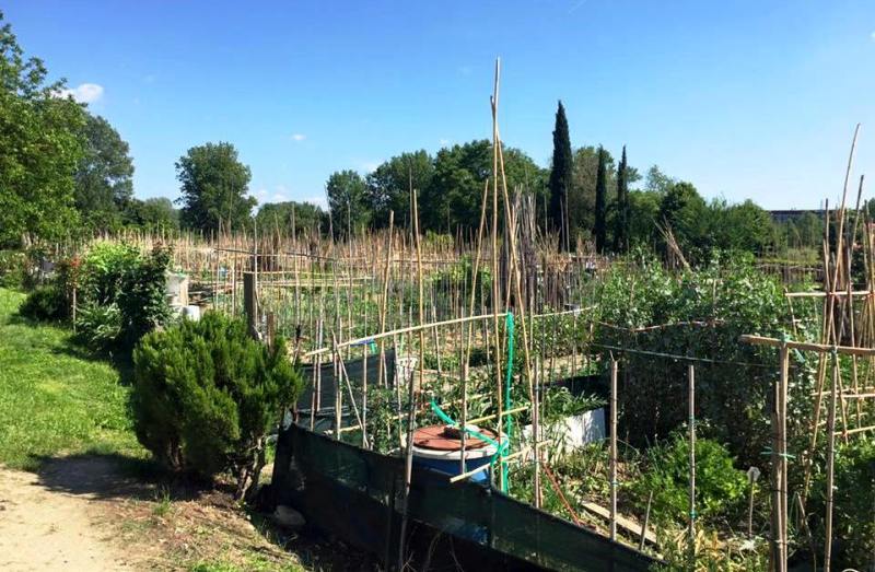 orti-urbani-semi_Toscana-ambiente