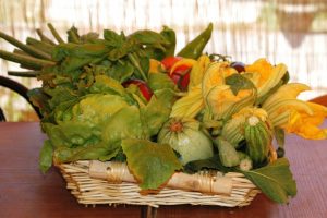 verdure-cibo-naturale_Toscana-ambiente