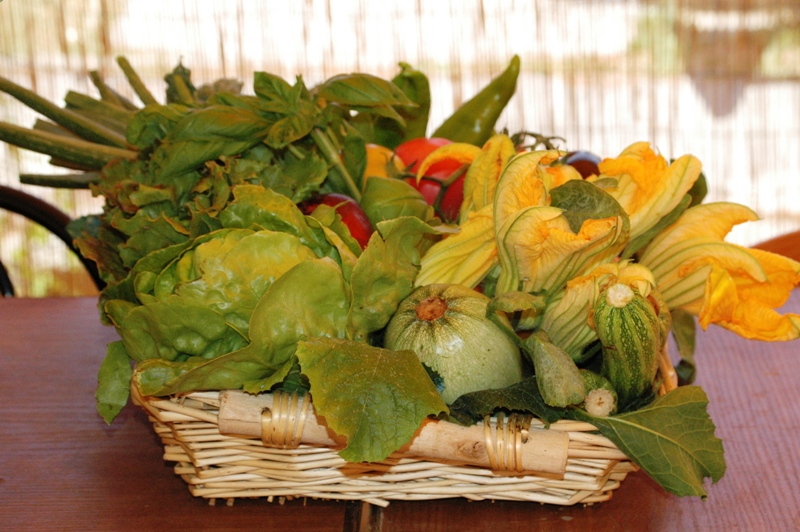 verdure-cibo-naturale_Toscana-ambiente