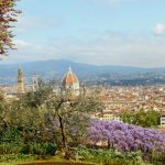 Firenze-panorama-giustizia-Toscana-ambiente