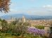 Firenze-panorama-giustizia-Toscana-ambiente