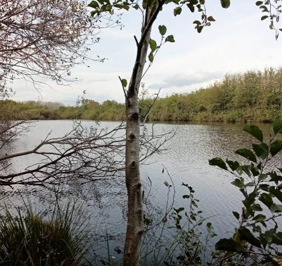 Padule-Fucecchio-natura_Toscana-ambiente