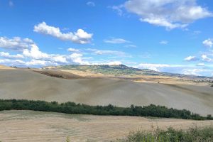 Foto da Distretto Rurale e Biologico della Val di Cecina .