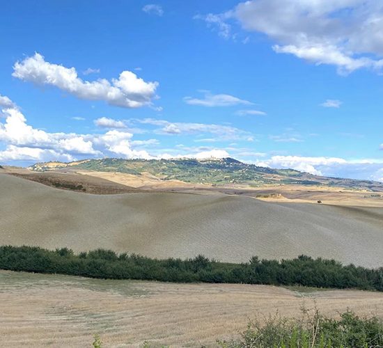 Foto da Distretto Rurale e Biologico della Val di Cecina .