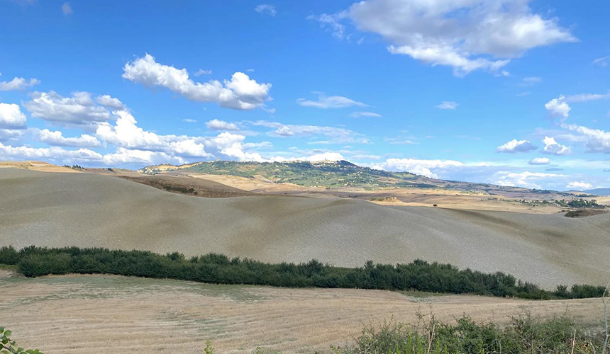 Foto da Distretto Rurale e Biologico della Val di Cecina .