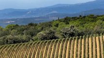 distretto-biologico-Montecucco_Toscana-ambiente