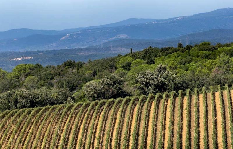 distretto-biologico-Montecucco_Toscana-ambiente