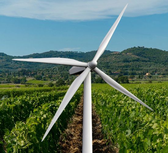 pale-eoliche-Val-di-Cornia-Toscana-ambiente