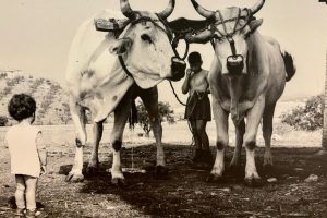 società-rurale-contadini_Toscana-ambiente