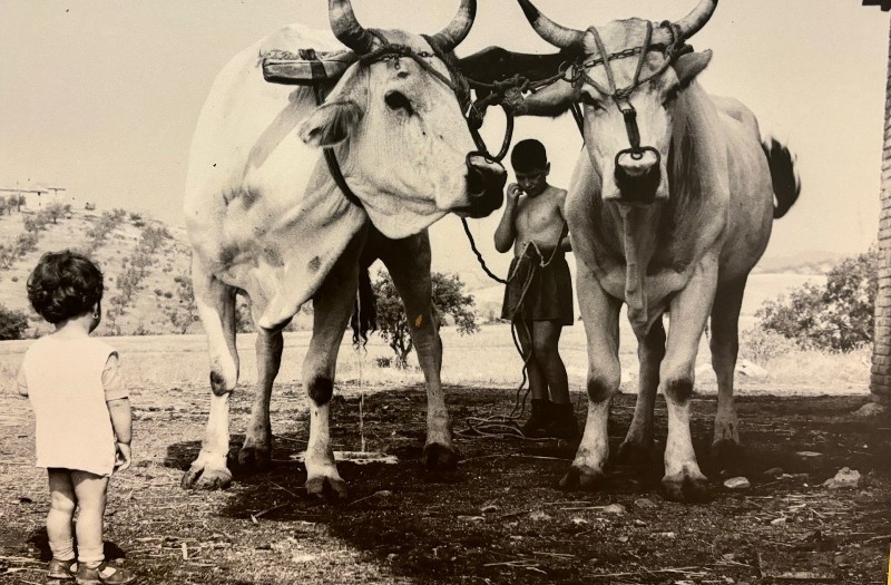 società-rurale-contadini_Toscana-ambiente