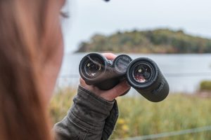 Corso-birdwatching-Toscana-ambiente