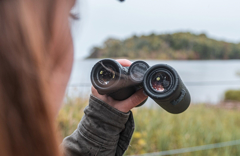 Corso-birdwatching-Toscana-ambiente